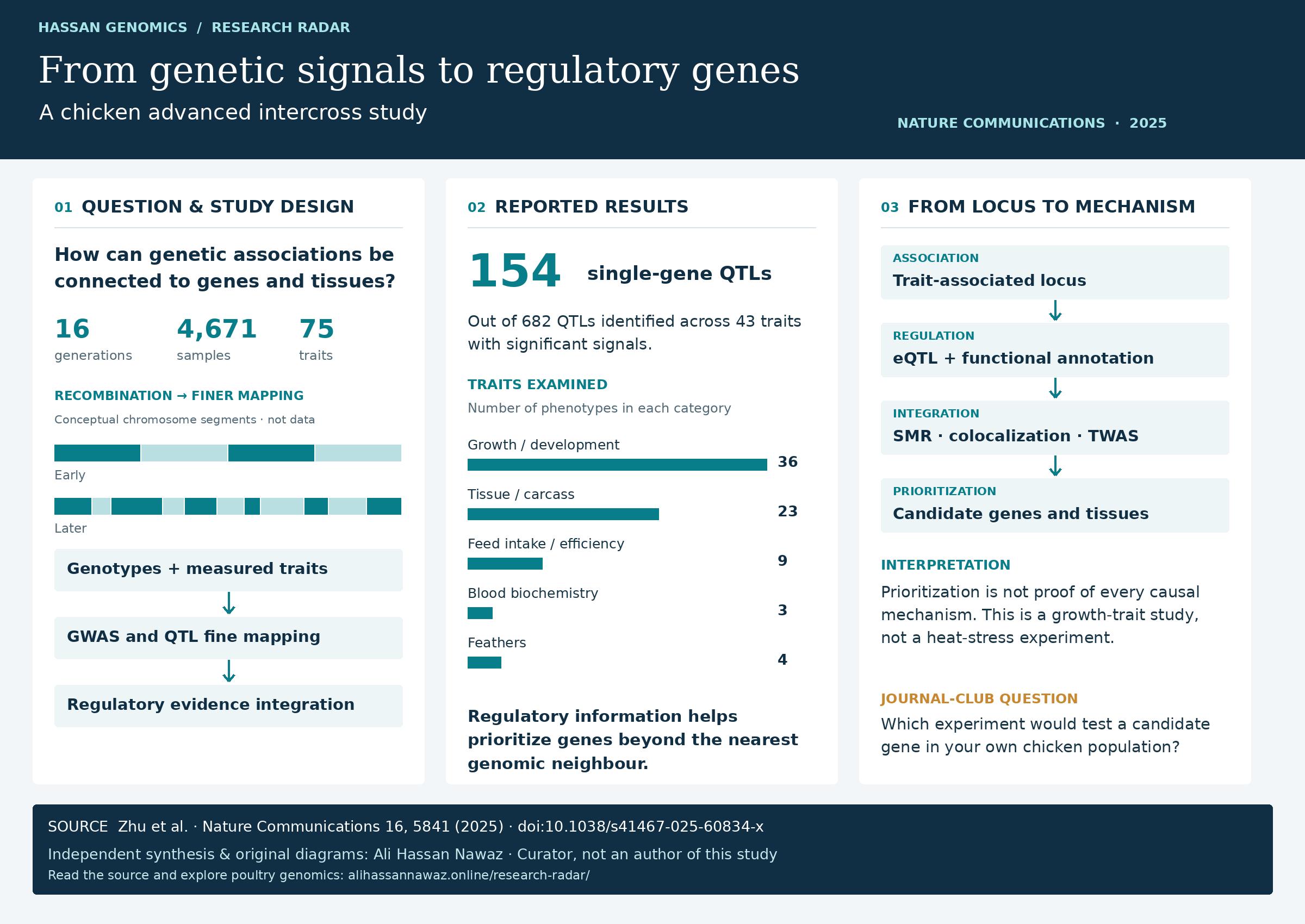Preview of the three-column scientific poster on chicken regulatory genomics